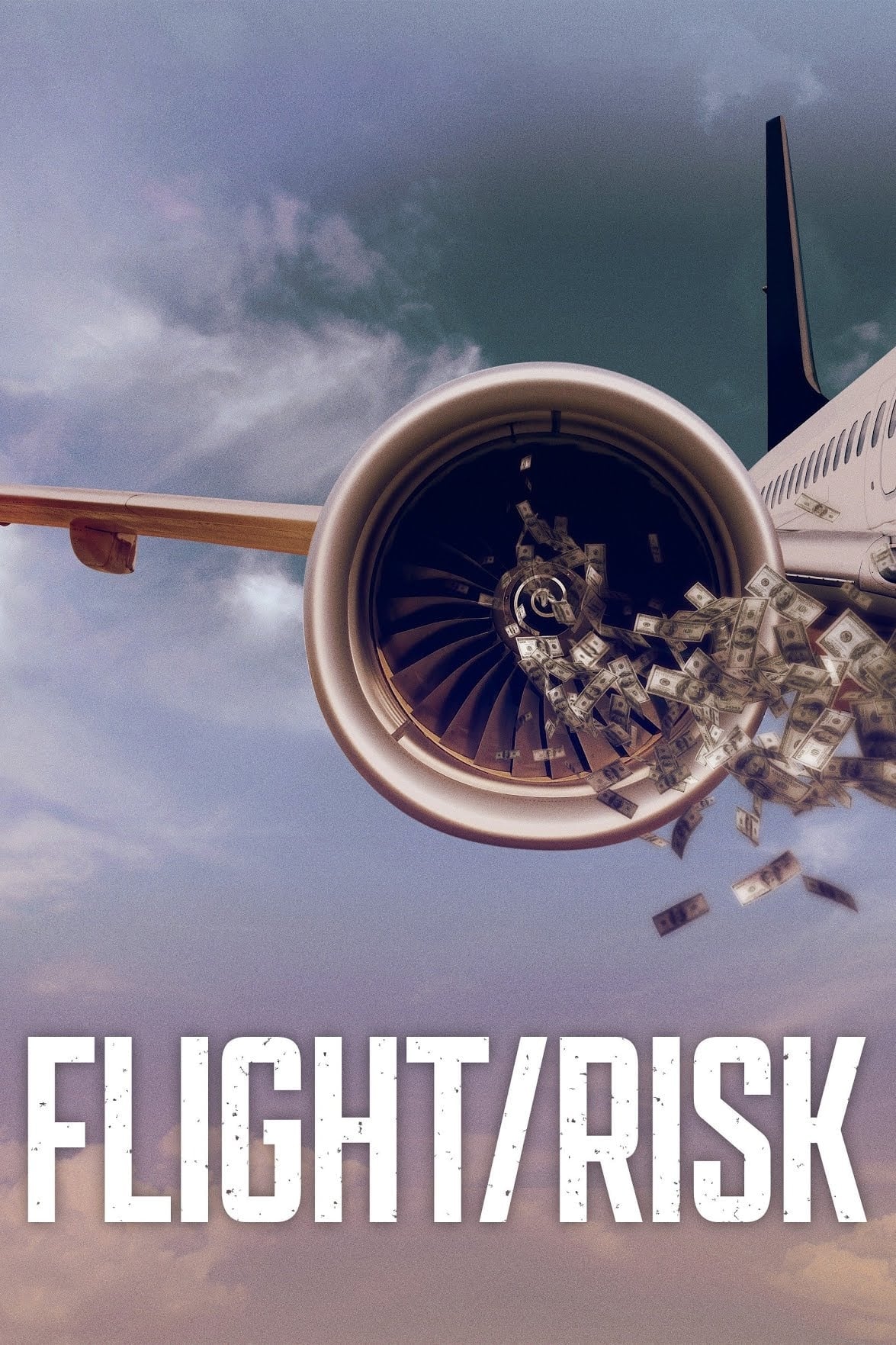 Flight/Risk เที่ยวบินมหาภัย